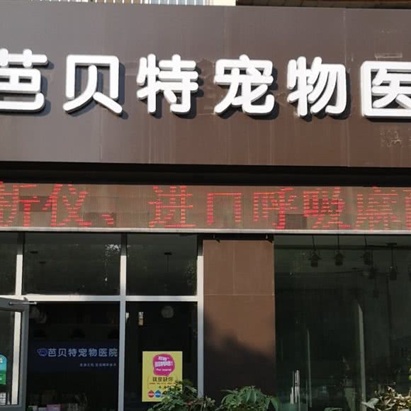 芭贝特宠物医院:宿迁市沭阳县