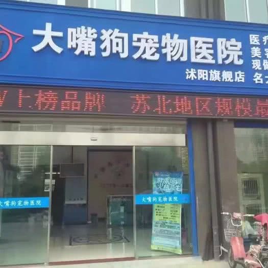 大嘴狗宠物诊所(沭阳旗舰店):宿迁市沭阳县