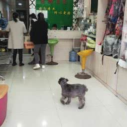 爱心動物诊所:宿迁市沭阳县