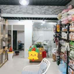 汪汪队宠物生活馆(三店):宿迁市泗阳县