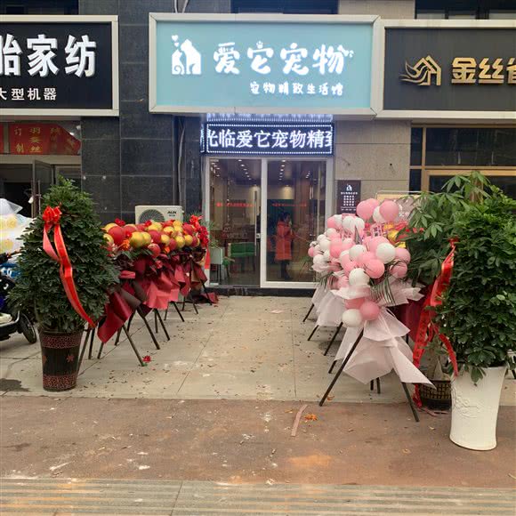 爱它宠物精致生活馆:宿迁市泗阳县