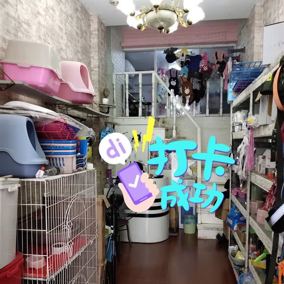 汪汪队宠物生活馆:宿迁市泗阳县