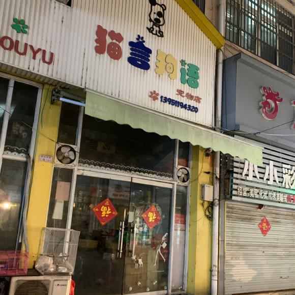 猫言狗语:宿迁市泗阳县