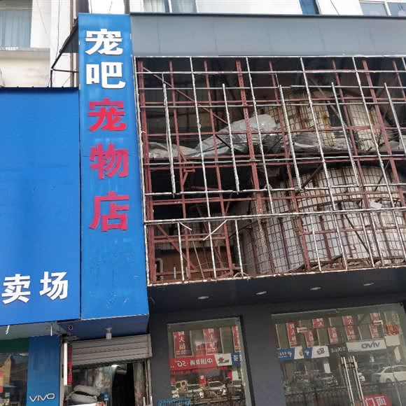 宠吧宠物店:宿迁市泗阳县