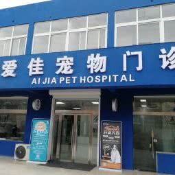 泗阳爱佳宠物门诊:宿迁市泗阳县