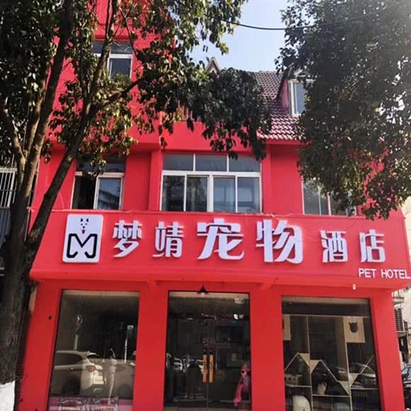 梦靖宠物店:宿迁市泗洪县