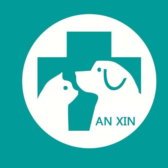 安心宠物诊所:宿迁市泗洪县