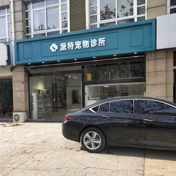 派特宠物诊所:宿迁市泗洪县