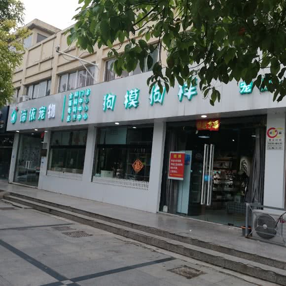 谛依宠医:宿迁市泗洪县