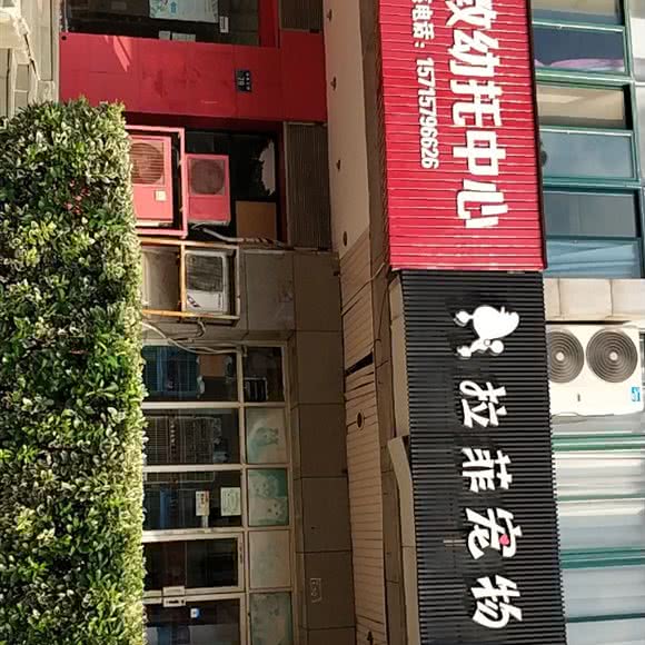 港港宠物:杭州市拱墅区