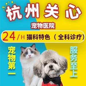 关心宠物医院24小时:杭州市滨江区