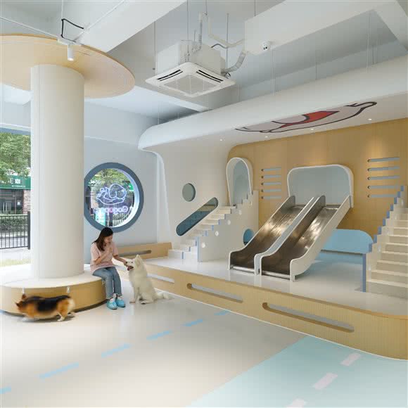 Gogopet狗狗派萌宠幼稚园:杭州市萧山区