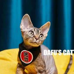 大福猫舍:杭州市萧山区