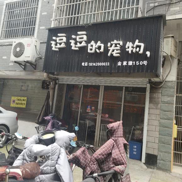 逗逗的宠物:杭州市富阳区