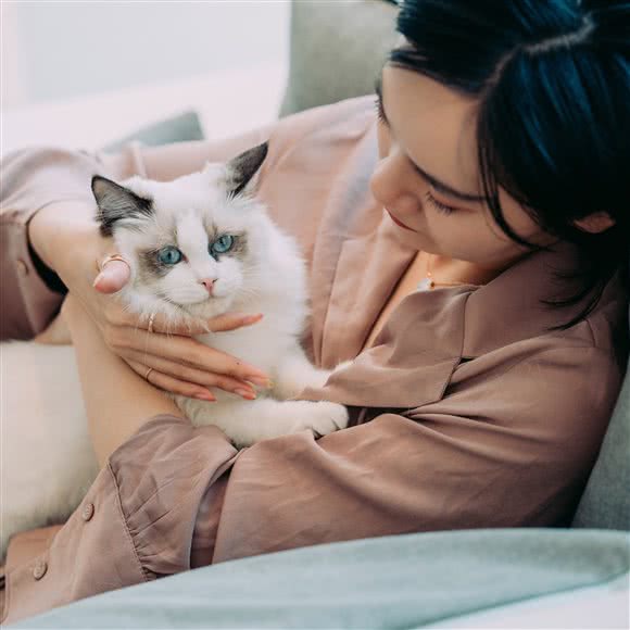 Camille’s Pet国际名猫馆.宠物活体幼猫售卖:杭州市富阳区