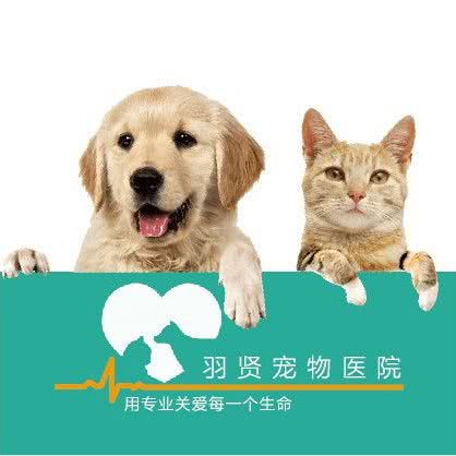 羽贤宠物医院:杭州市富阳区