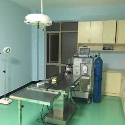 玄叶宠物医院:杭州市富阳区