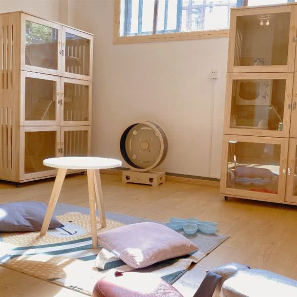 Kiss u 宠物休闲馆:杭州市临安区