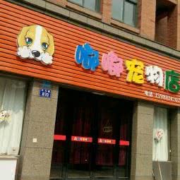 嘟嘟宠物店:杭州市临安区