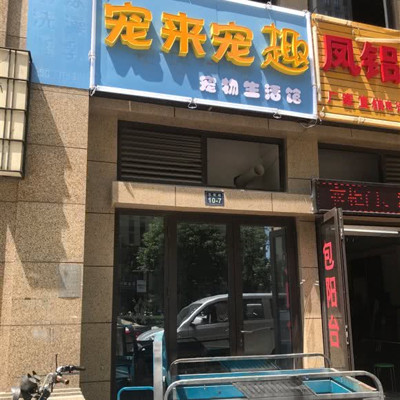 宠来宠趣:杭州市临平区