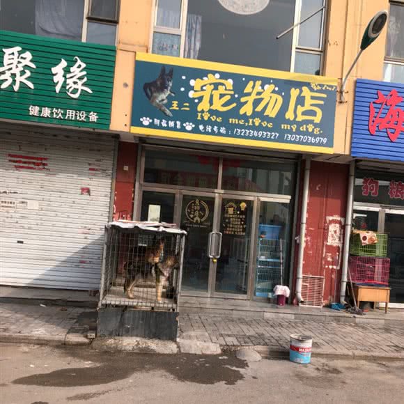王二宠物店:朔州市朔城区万人新天地附近