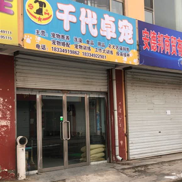 千代卓宠:朔州市朔城区万人新天地附近