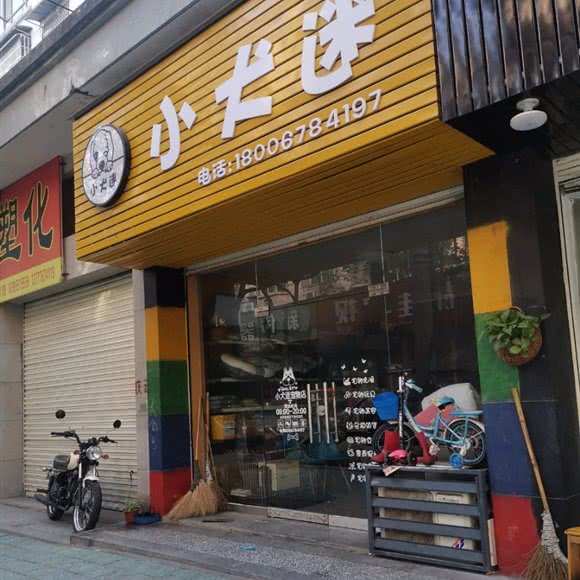 小犬迷:杭州市桐庐县