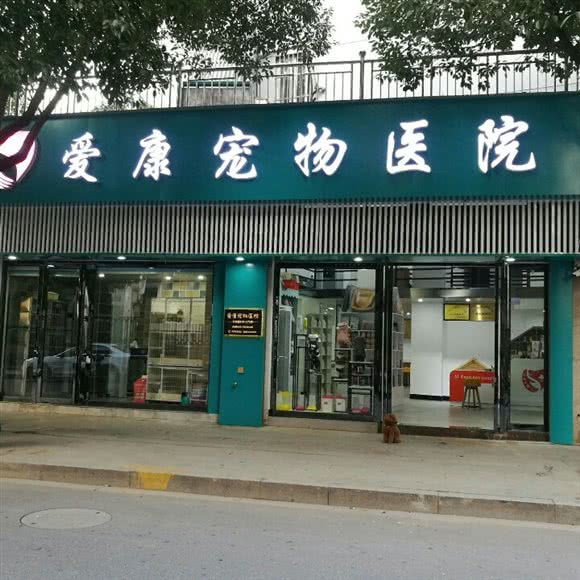 爱康宠物医院:杭州市桐庐县