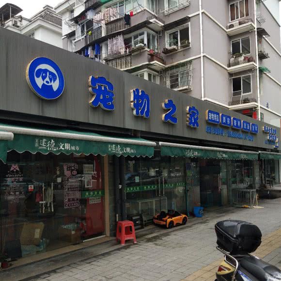 宠物之家:杭州市建德市