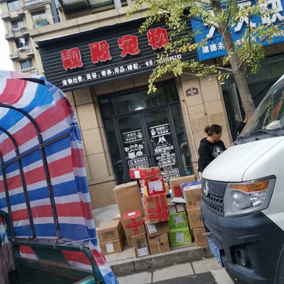 靓殿宠物:杭州市建德市