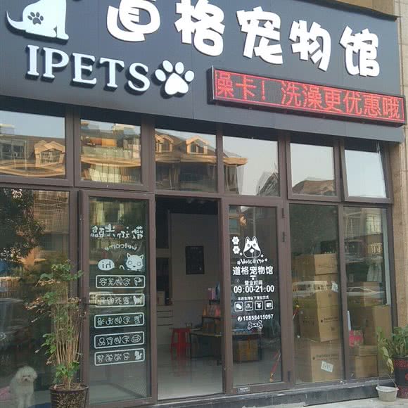 道格宠物馆:宁波市海曙区