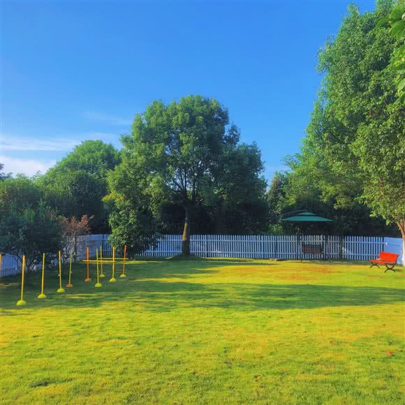 徐汪汪训犬学院乐园:宁波市海曙区