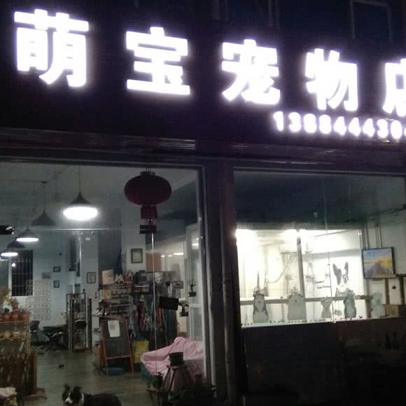 萌宝宠物店:宁波市海曙区