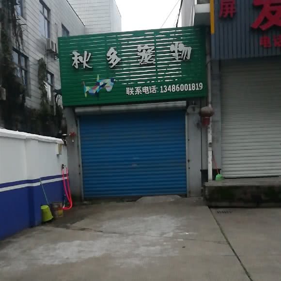 爱心小宠:宁波市海曙区
