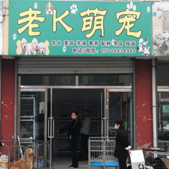 老K萌庞:朔州市朔城区万人新天地附近