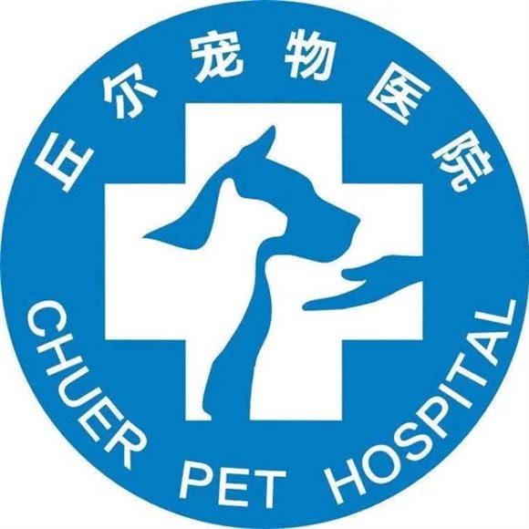 丘尔宠物医院:宁波市江北区