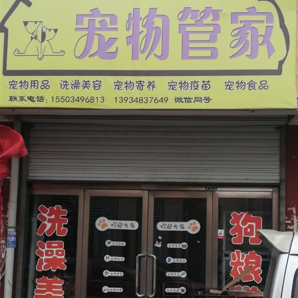 宠物管家:朔州市朔城区万人新天地附近