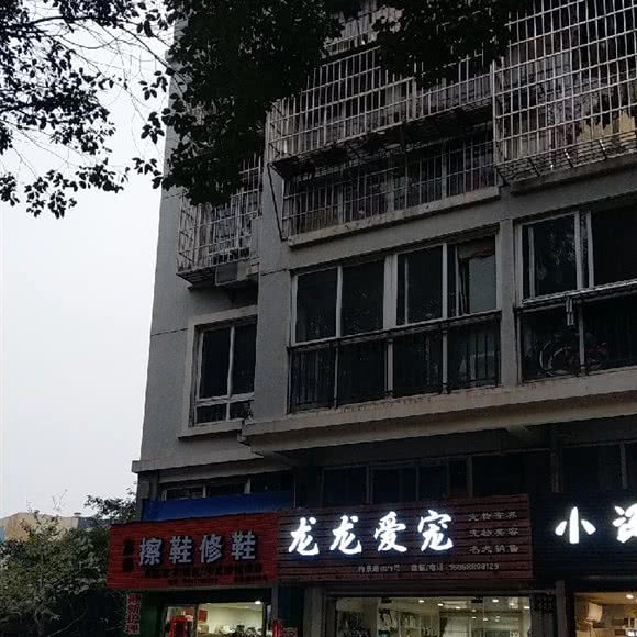龙龙爱宠:宁波市鄞州区