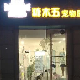 糖木五宠物屋:宁波市鄞州区