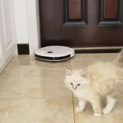 遇见猫屋:宁波市鄞州区