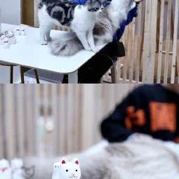 等於:宁波市鄞州区