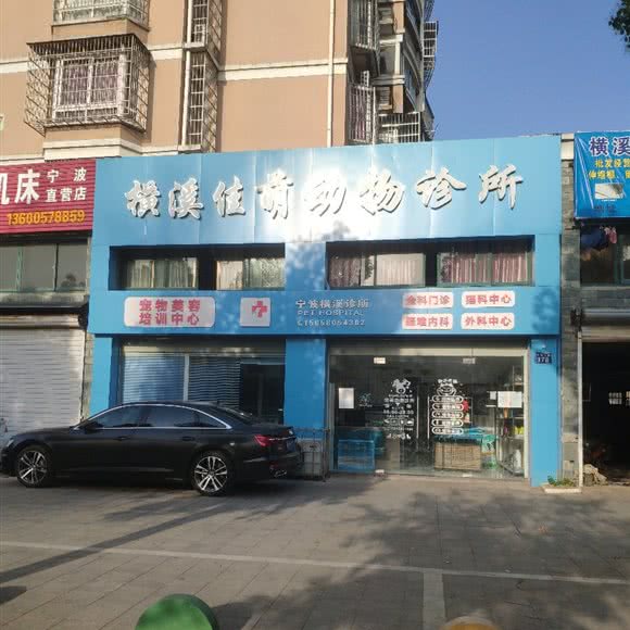 佳萌动物诊所(宁波横溪诊所):宁波市鄞州区