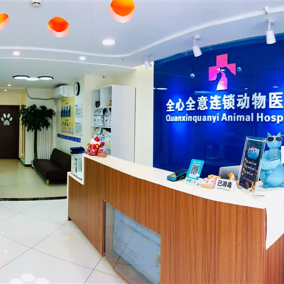 全心全意连锁动物医院(百子湾分院):北京城区朝阳区百子湾附近