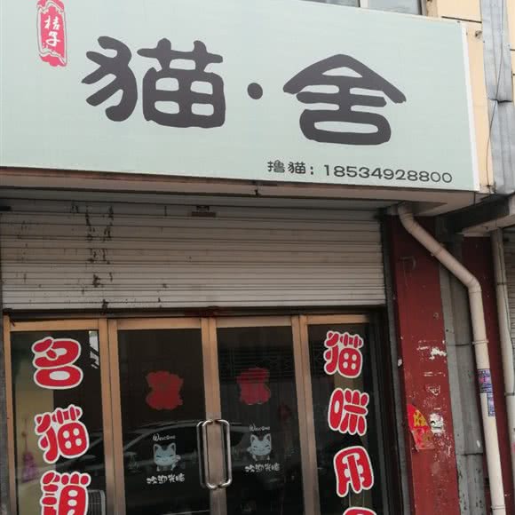 桔子猫·舍:朔州市朔城区万人新天地附近