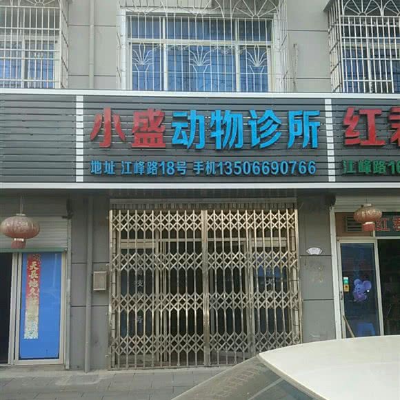小盛动物诊所:宁波市奉化区