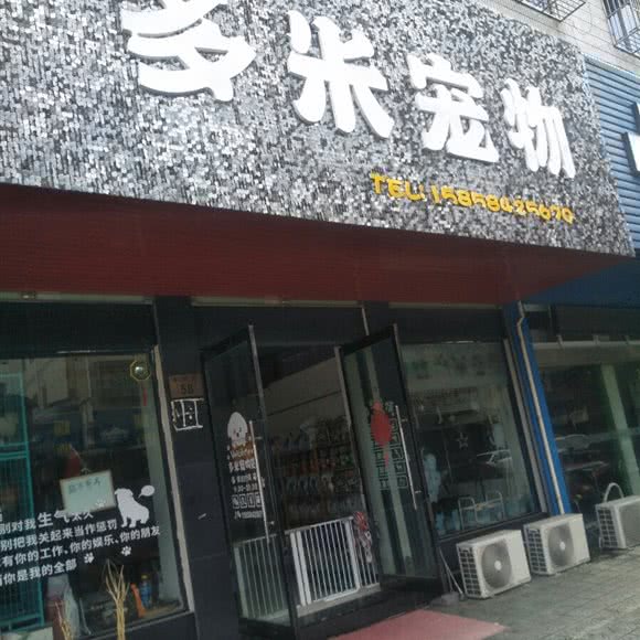 多米宠物:宁波市象山县