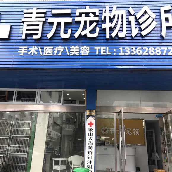 青元宠物诊所(象山中心店):宁波市象山县