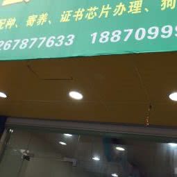 野达宠物:宁波市宁海县