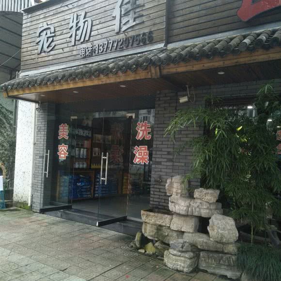 宠物佳:宁波市宁海县