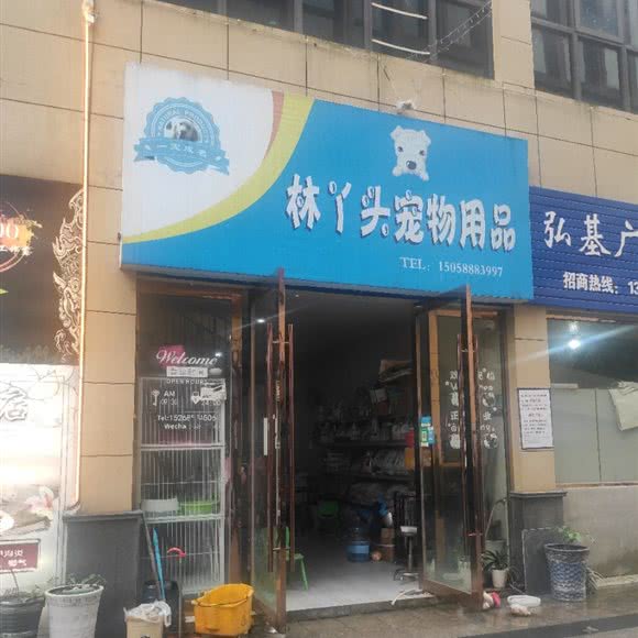 林丫头宠物用品:宁波市宁海县